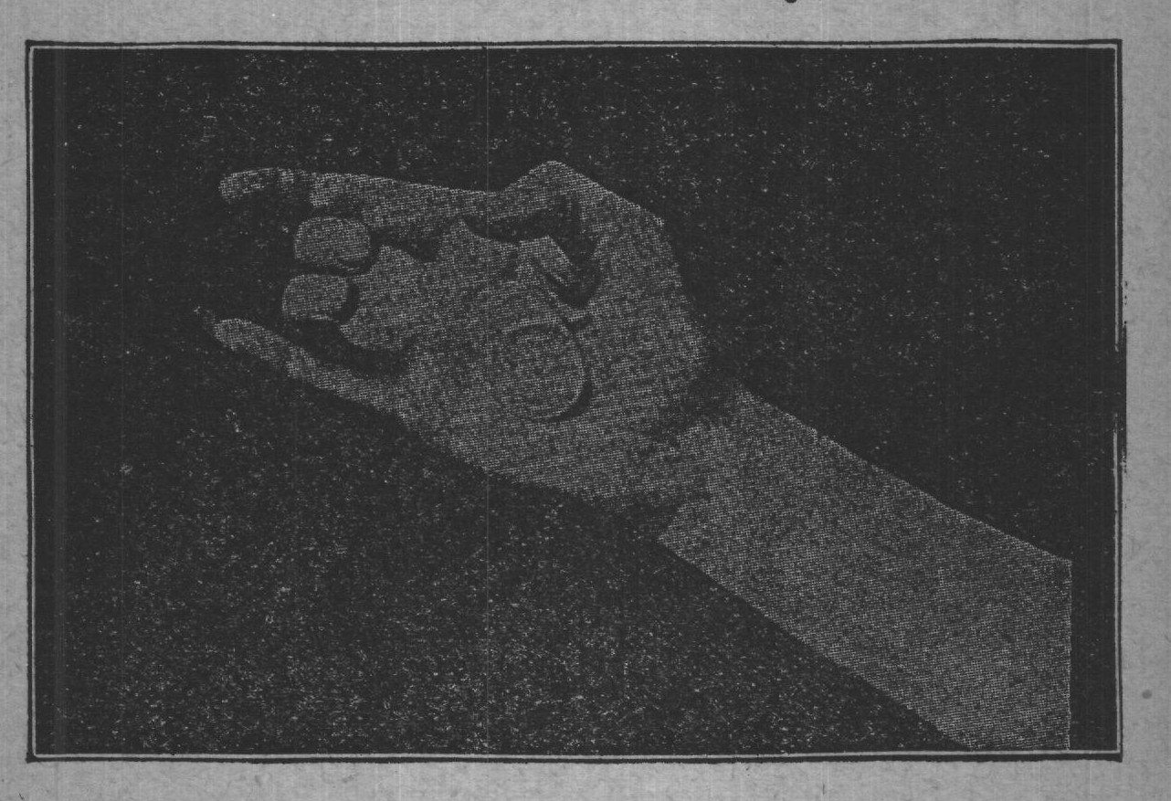 Fig. 33.