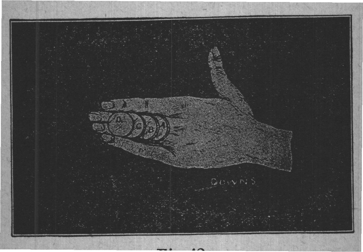 Fig. 42.