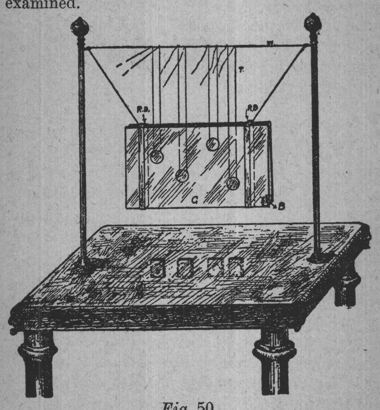 Fig. 50.