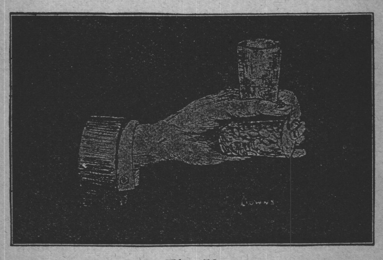 Fig. 53.