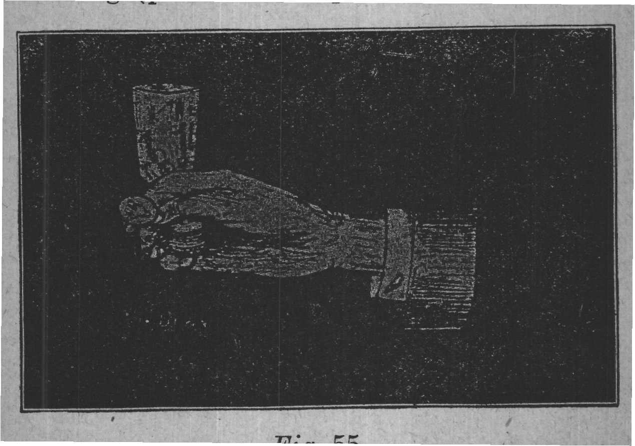 Fig. 55.