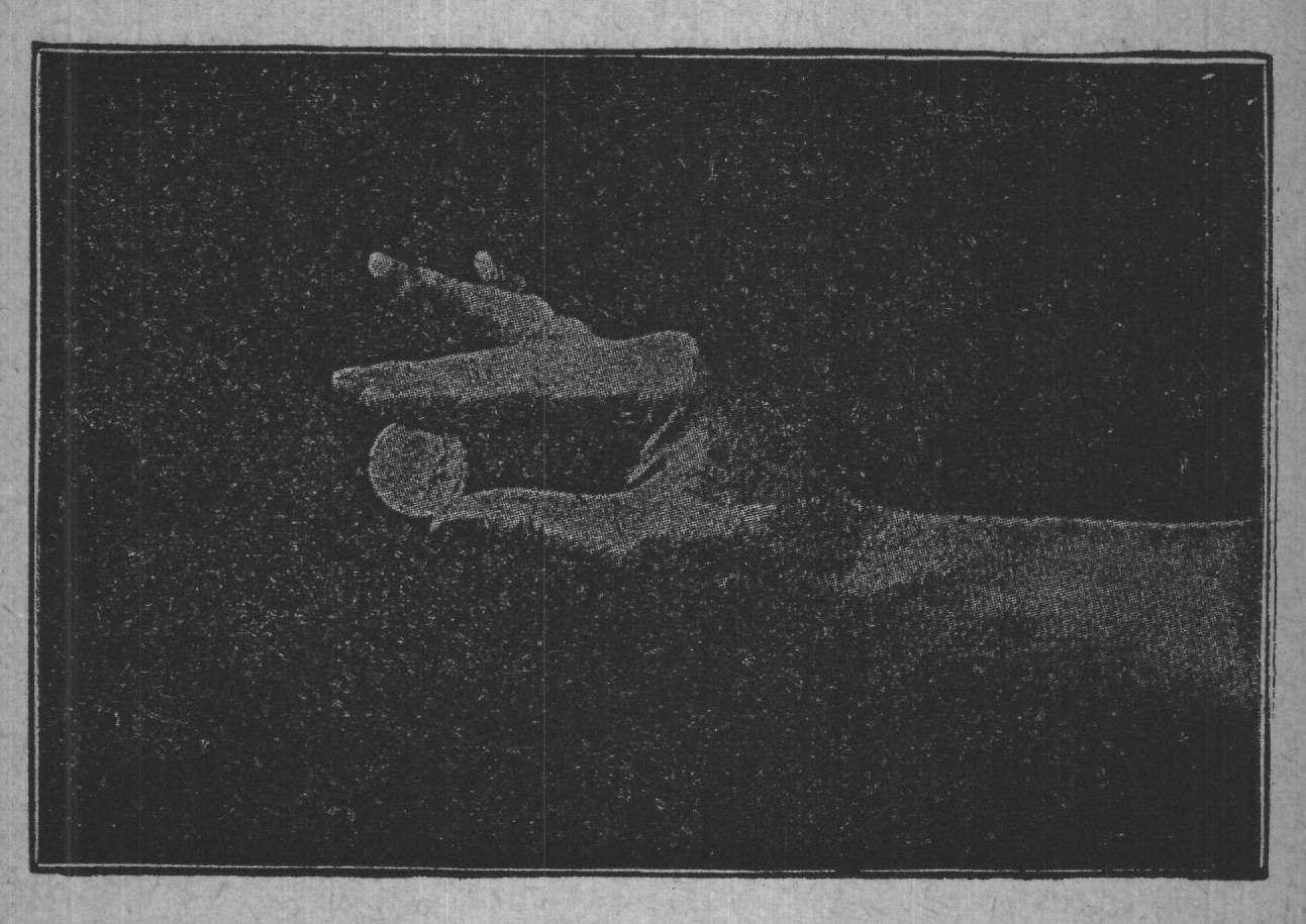 Fig. 65.