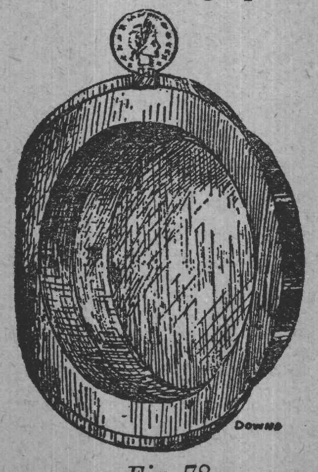 Fig. 78.