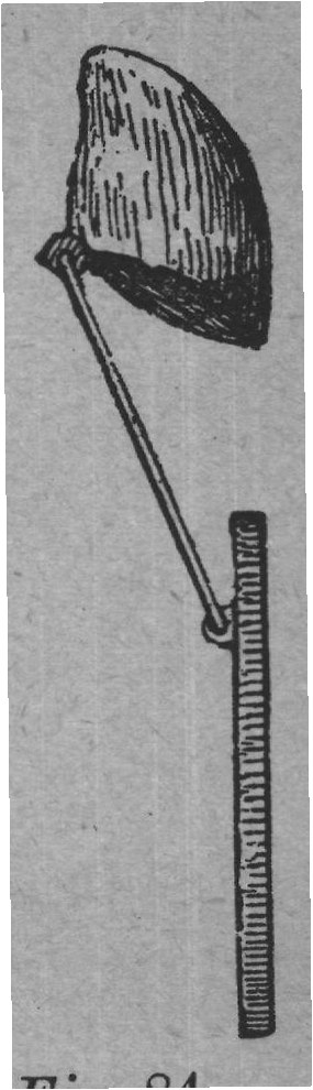 Fig. 84.