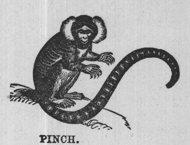 PINCH.